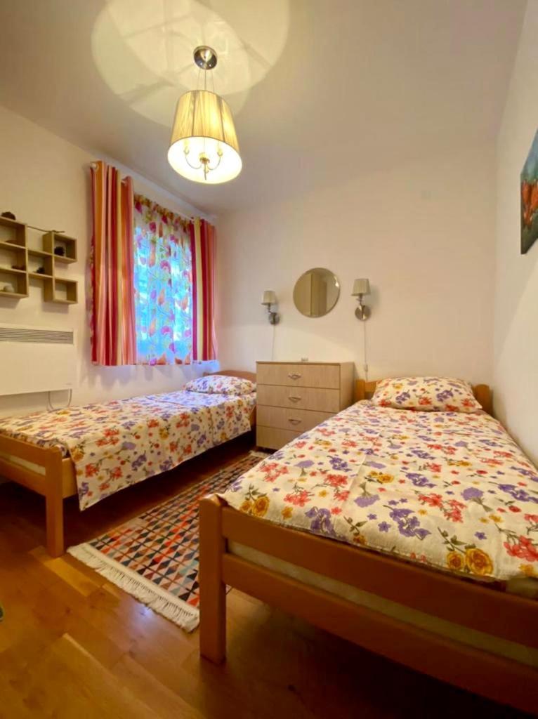 Apartment Liza Petrovac Ngoại thất bức ảnh