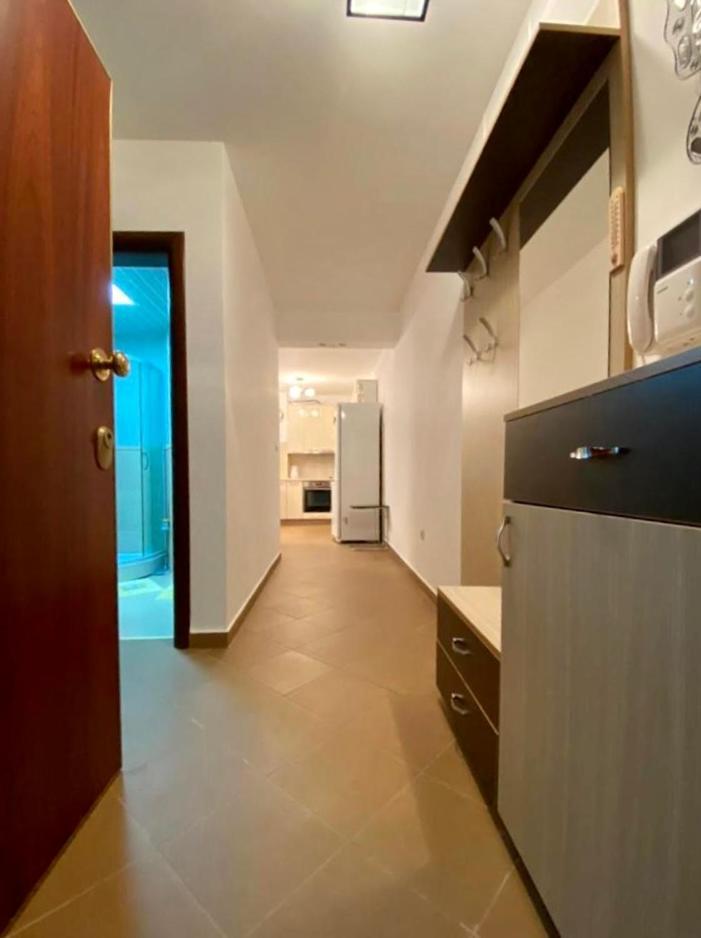 Apartment Liza Petrovac Ngoại thất bức ảnh