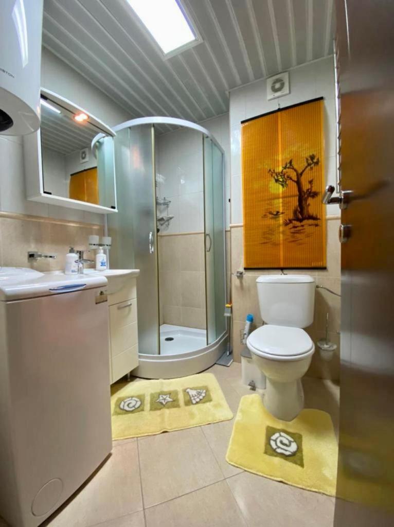 Apartment Liza Petrovac Ngoại thất bức ảnh