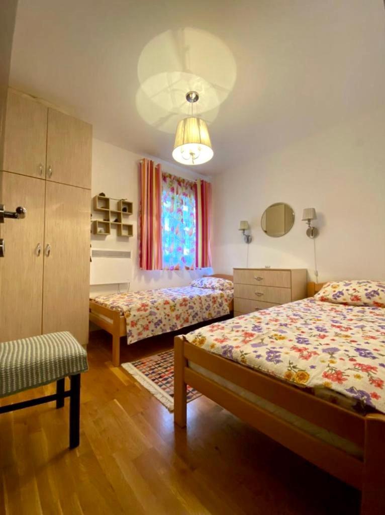 Apartment Liza Petrovac Ngoại thất bức ảnh